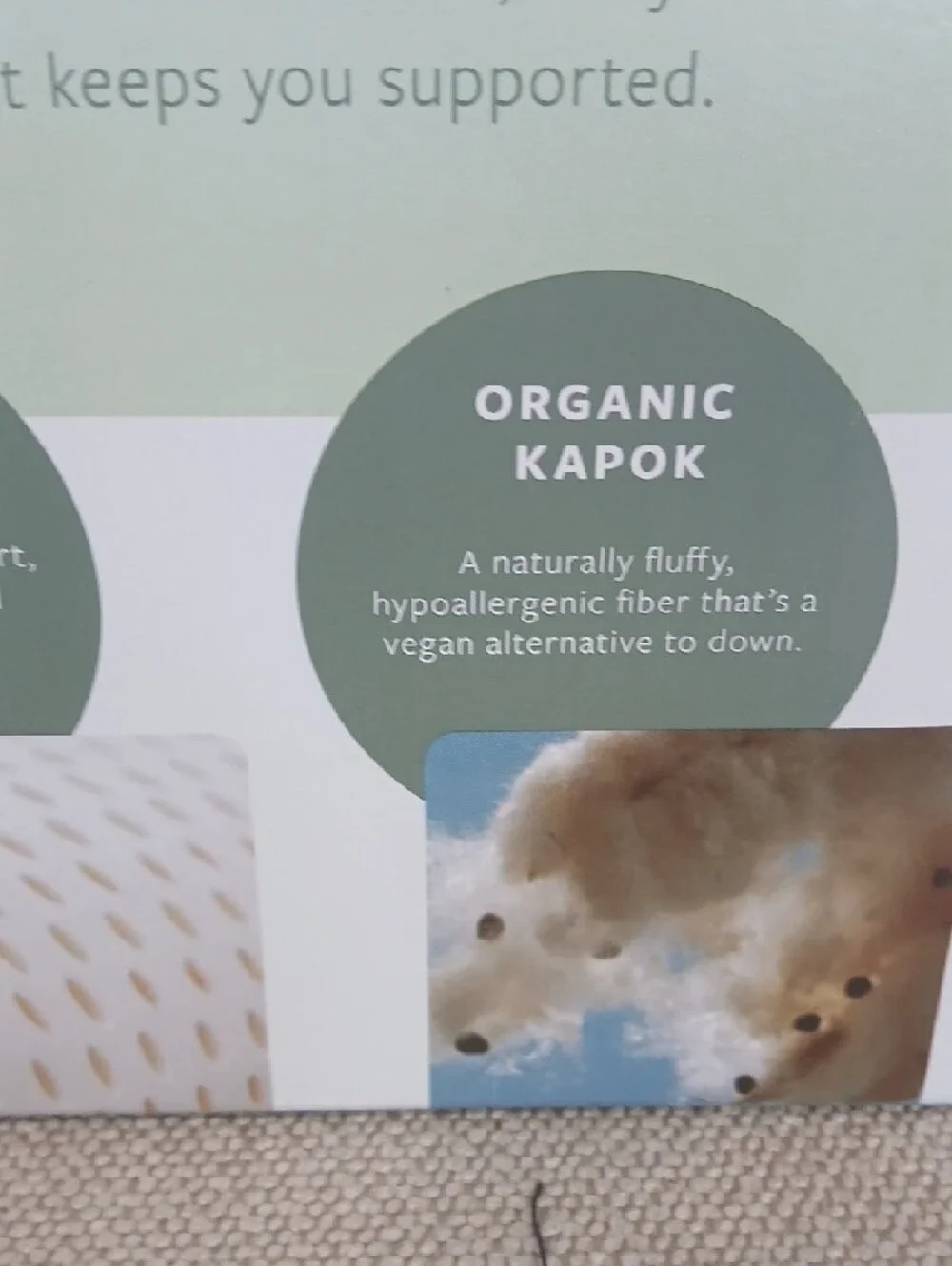 Avocado Organic Pillow - White
